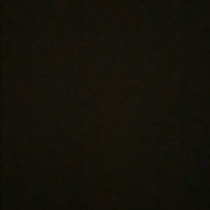 Meet your Posher, Riley